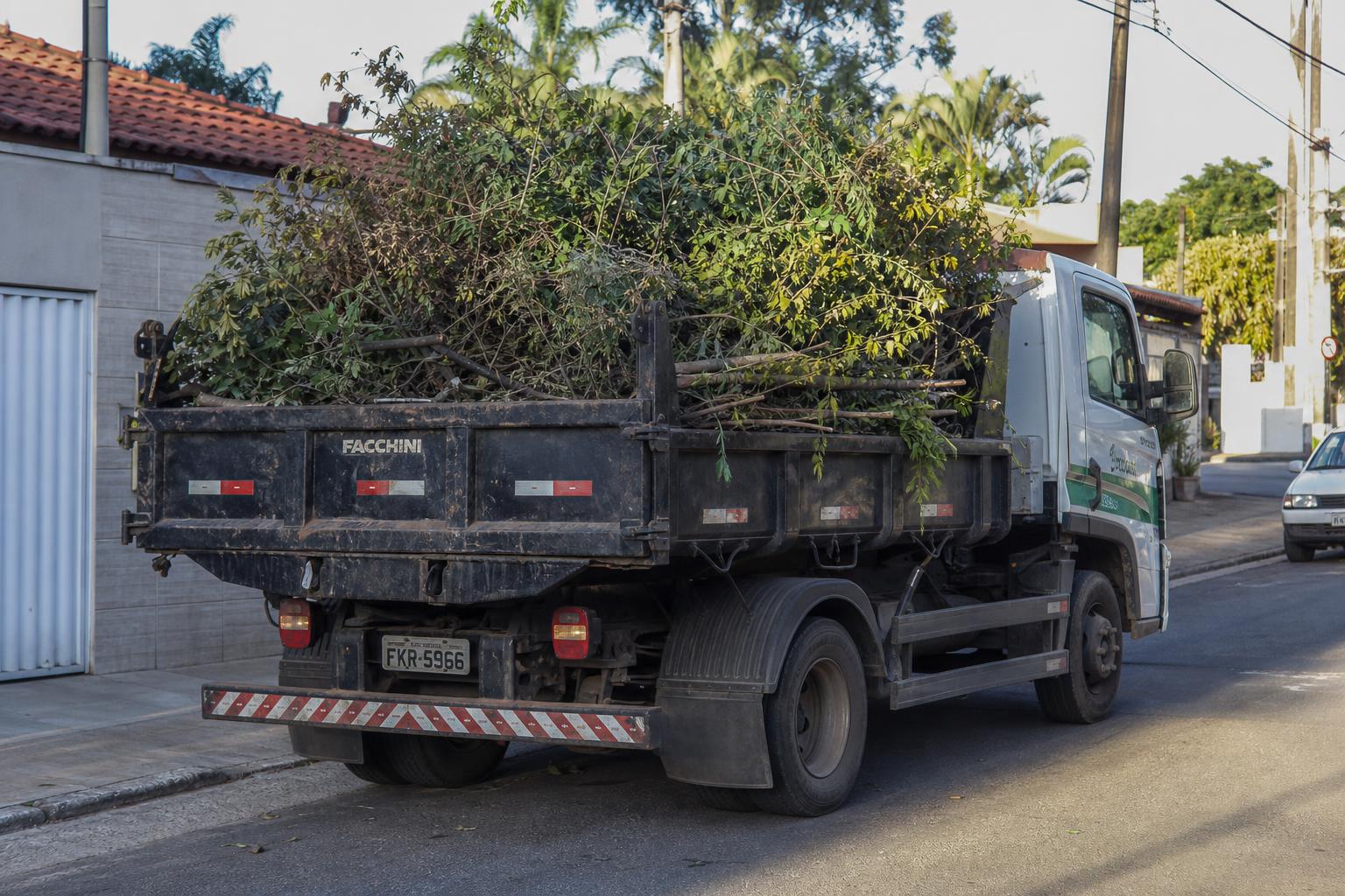 Caminhão carregado com galhos após poda